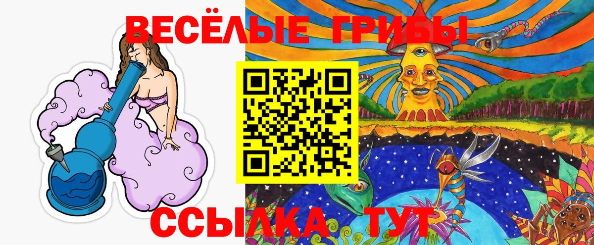 Вятские Поляны  Псилоцибиновые грибы GOLDEN TEACHER  Вход с VPN  Галлюциногенные грибы Psilocybe 